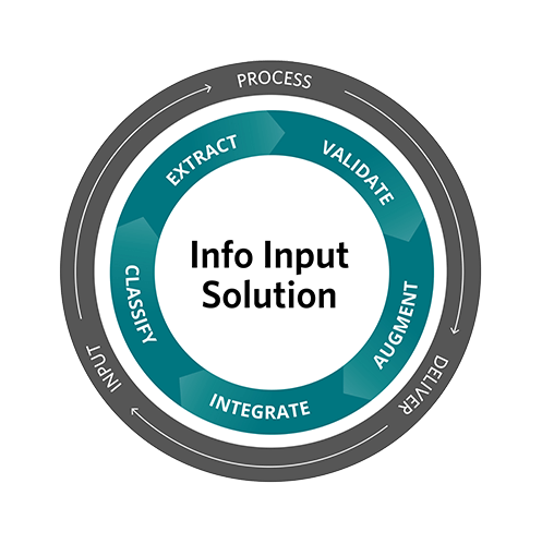 Info Input Solution